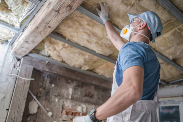 Best Cellulose Insulation in Hendersonville, TN