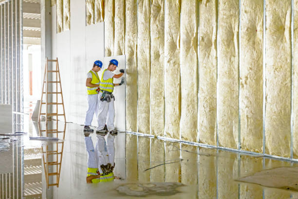 Best Insulation Maintenance and Repair in Hendersonville, TN
